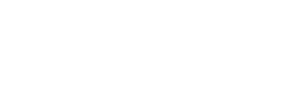 logo-white new